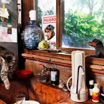 Malinalco Paloma's kitchen is full of knick knacks about dogs. However, the kitchen is her cat's world.