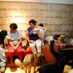 Paloma, Roberto, and Fernanda sits together with their dogs. Both Roberto and Fernanda love dogs so they always support Paloma to rescue stray dogs. Credit: Zixian Chen